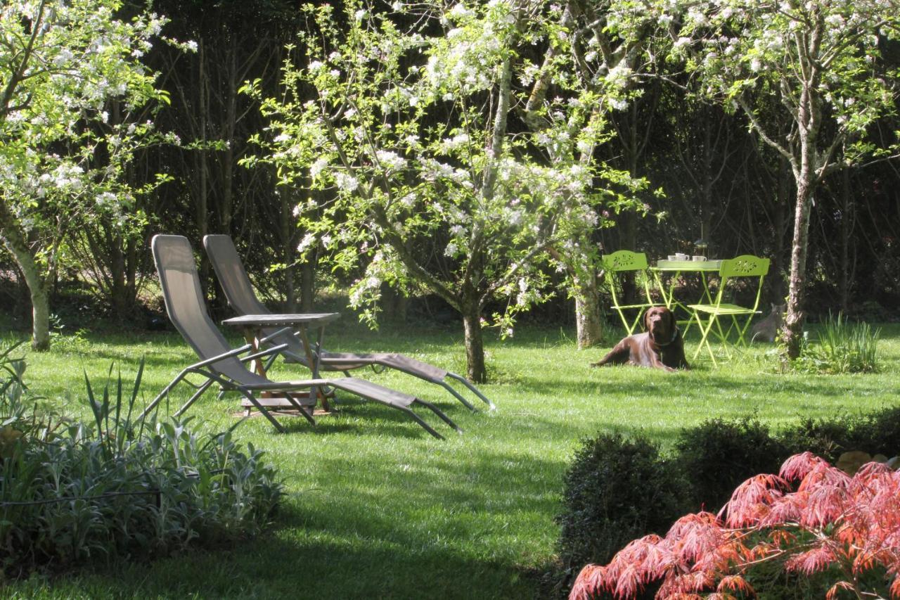 Le Jardin Sarlat Bed & Breakfast Ngoại thất bức ảnh