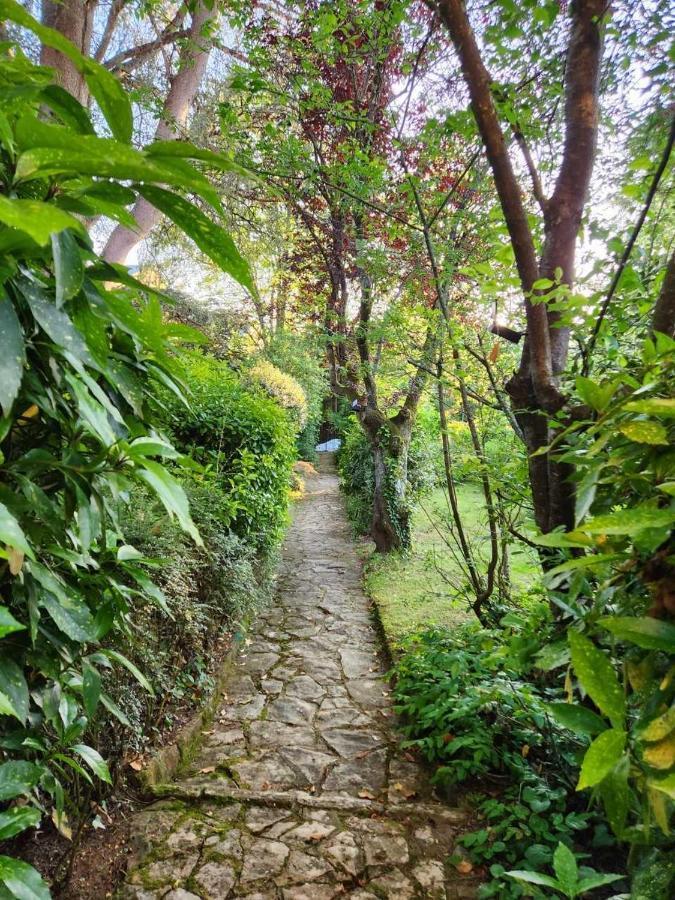 Le Jardin Sarlat Bed & Breakfast Ngoại thất bức ảnh