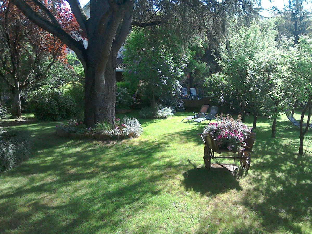 Le Jardin Sarlat Bed & Breakfast Ngoại thất bức ảnh