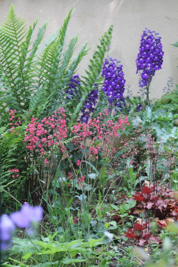 Le Jardin Sarlat Bed & Breakfast Ngoại thất bức ảnh